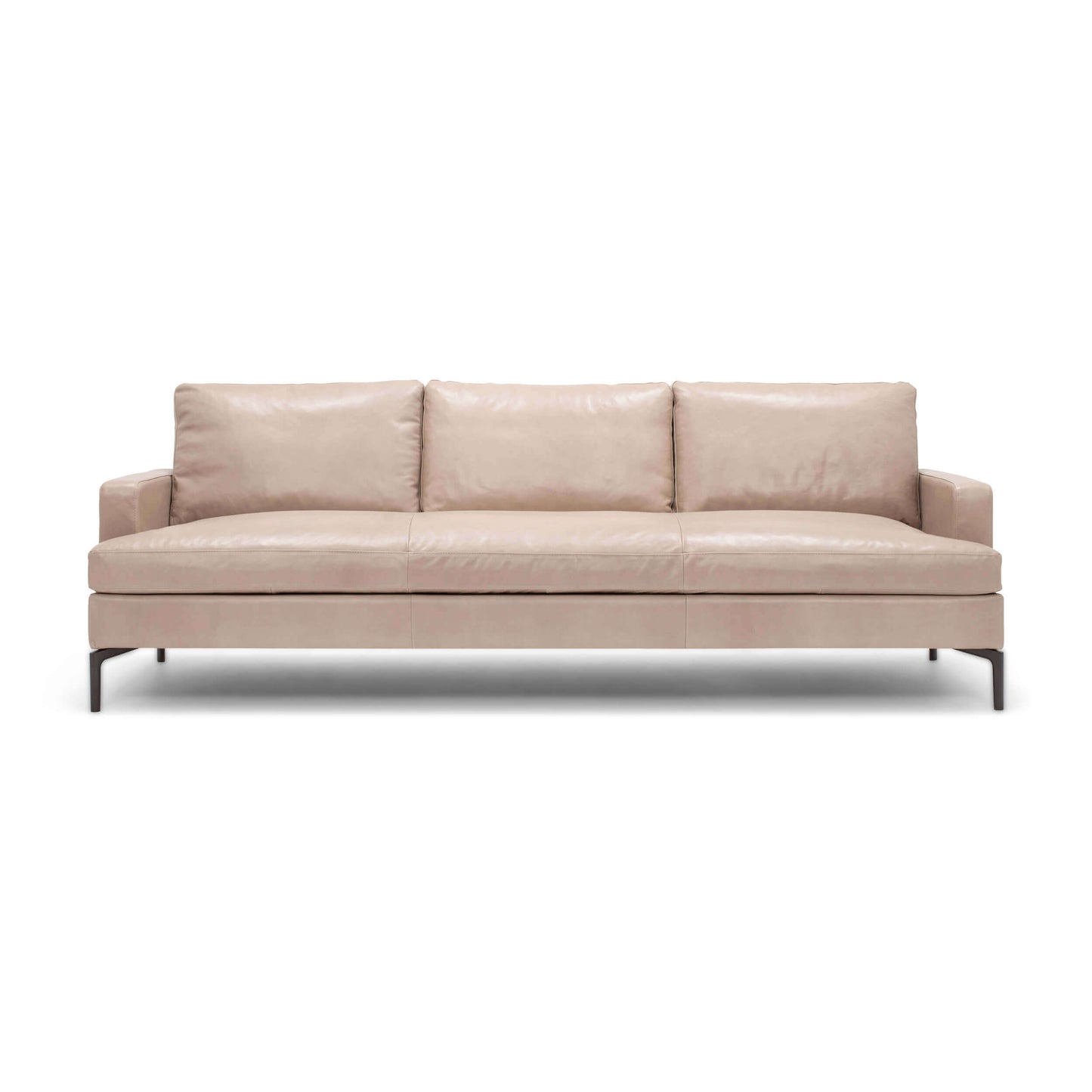 Eve Sofa - UPHOLSTERY - 800CO-WARALUMNM main image