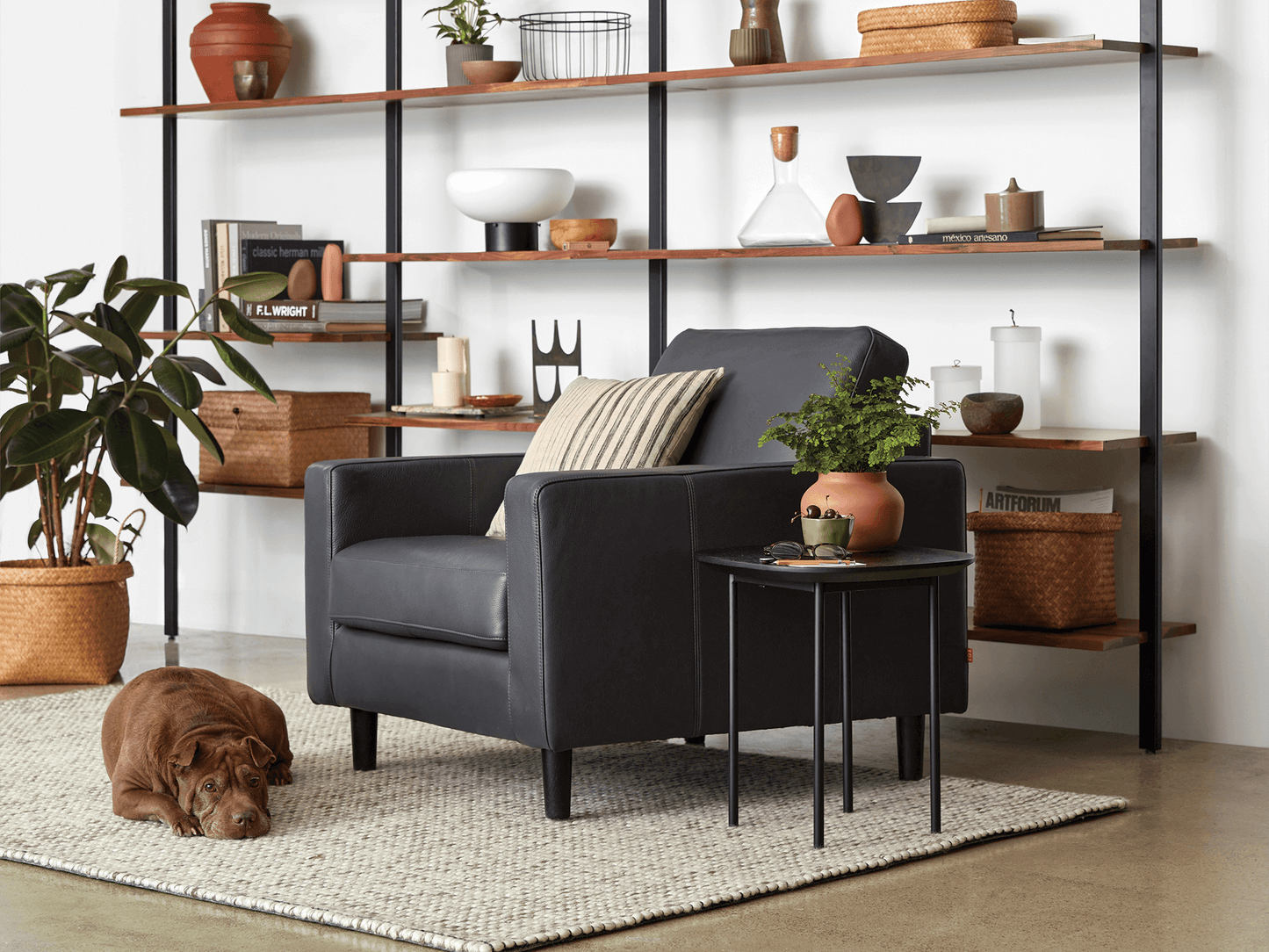Oskar Chair - UPHOLSTERY - 30OL-DKGBLACK lifestyle image