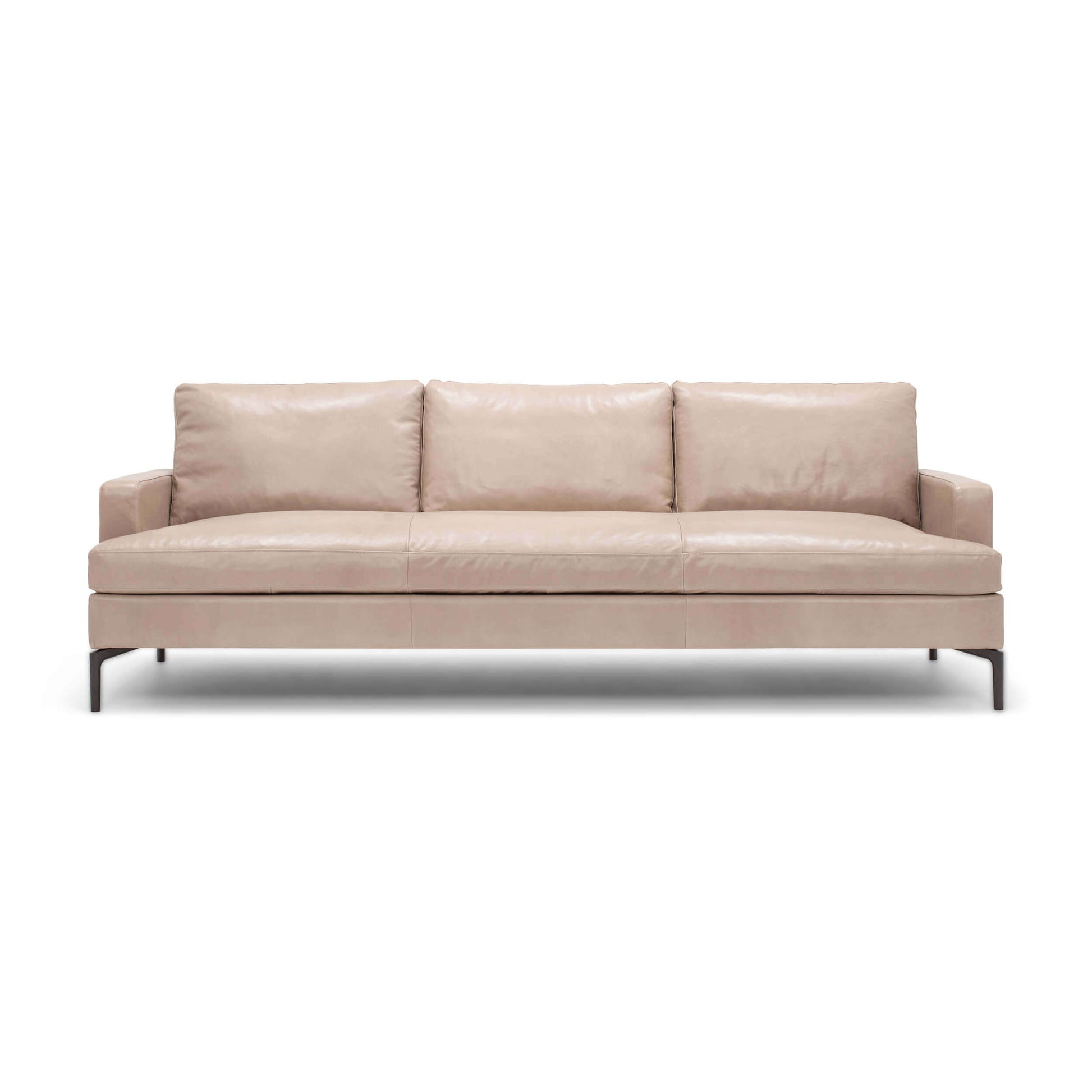 Eve Sofa - UPHOLSTERY - 800CO-WARALUMNM main image